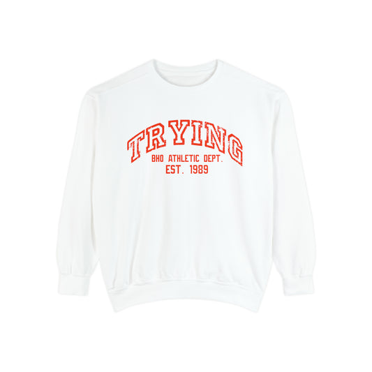 TryIng College Crewneck